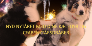 CFAB®Nytårsdråber til dyr